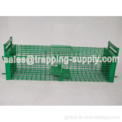 China LB-09 Reusable Pedal Rat Trap Cage Supplier